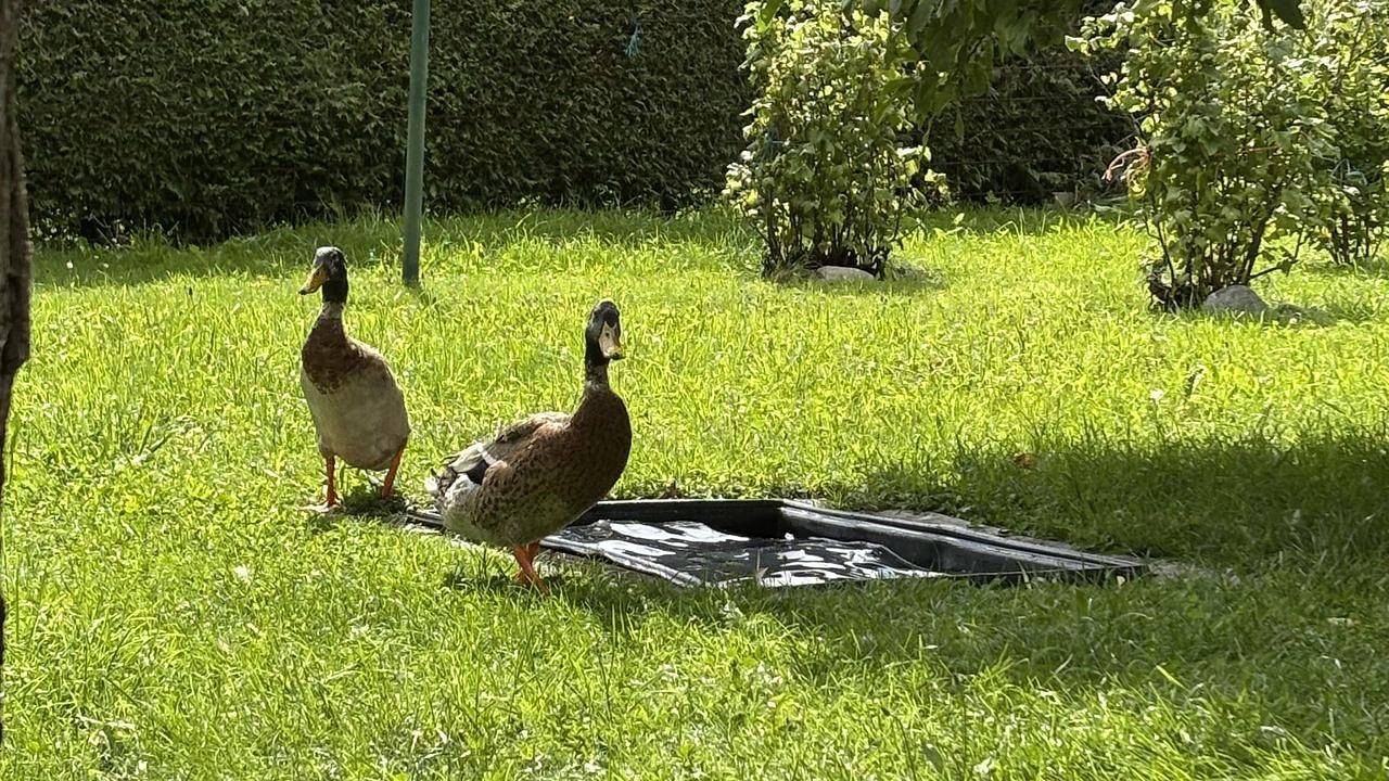 Ganze Ferienwohnung, Ferienwohnung für 3 Personen (45 m²) in Umhausen in Stubaier Alpen, Umhausen