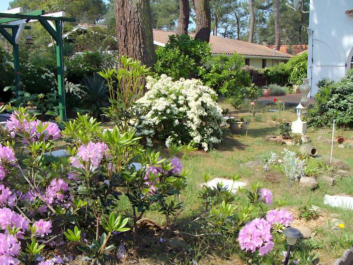 Location de vacances pour 4 personnes, avec jardin à Biscarrosse - 3
