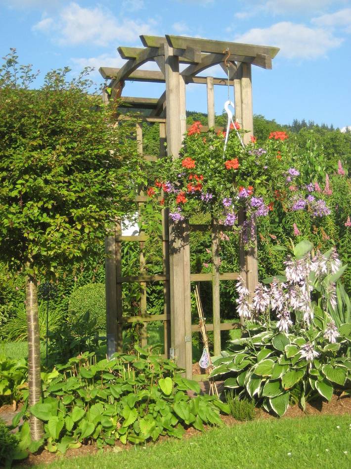 Ferienwohnung für 4 Personen, mit Terrasse in Olsberg - 4