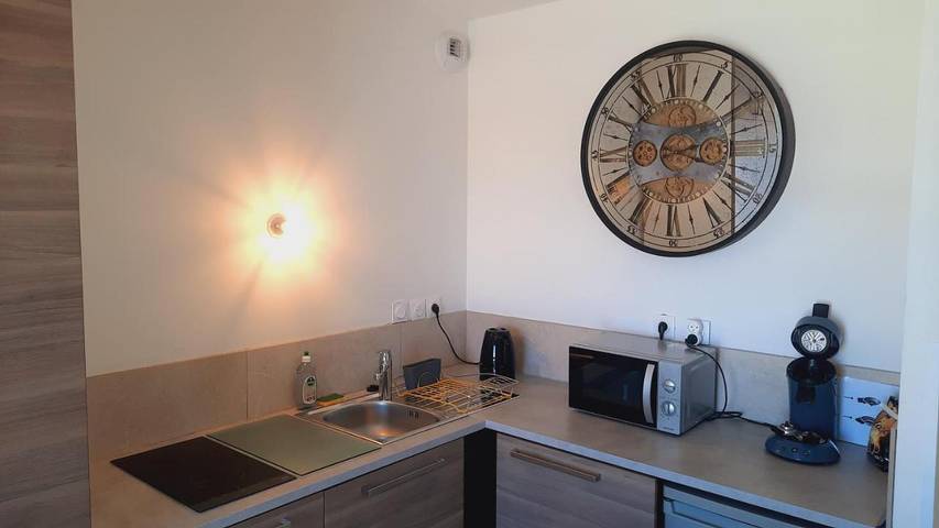 Gîte pour 4 personnes, avec jardin et vue dans Gare de Lyon Part Dieu - 3