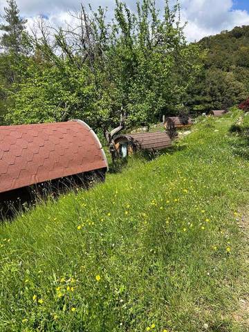 Lodge pour 2 personnes, avec jardin et vue ainsi que piscine et sauna en Corse