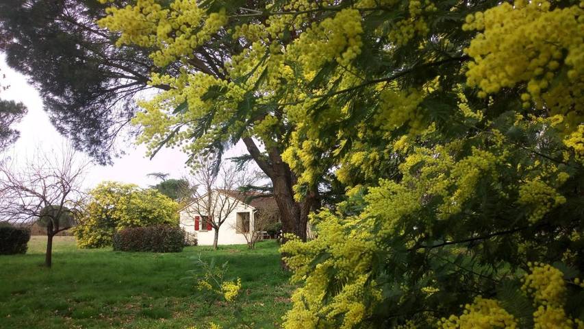 Location de vacances pour 6 personnes, avec vue ainsi que jardin et terrasse à Brens - 2