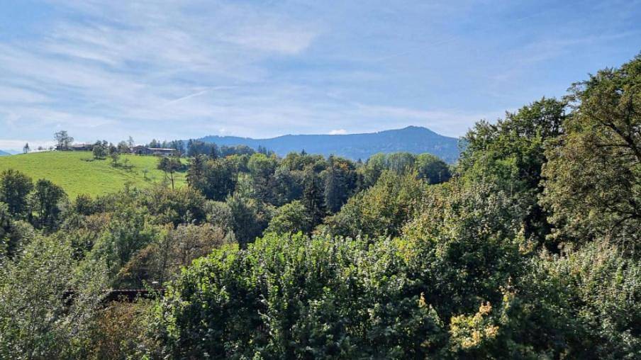 Ganze Wohnung, Ferienwohnung Schimmer mit Bergblick im ruhigen, naturverbundenen Ferienpark Vorauf, Siegsdorf in Siegsdorf, Bayerische Alpen