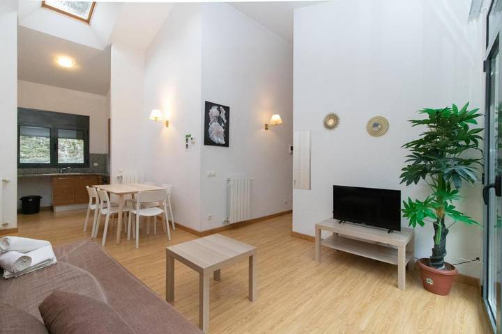 Gîte pour 6 personnes, animaux acceptés à Canillo - 4