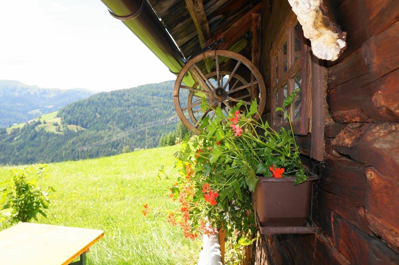 Obervostlhaus - Sehr schöne gemütliche Almhütte der besonderen Art in Reichenau (Österreich), Nockberge