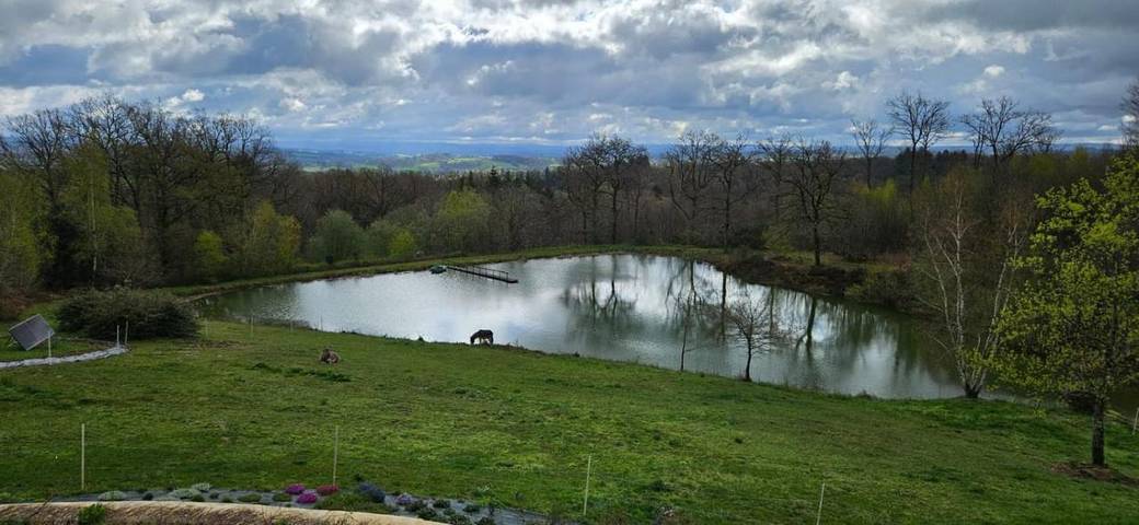 Gîte pour 3 personnes, avec jacuzzi et sauna ainsi que piscine et jardin à La Geneytouse - 3