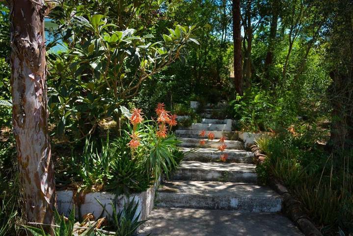 Chambre d’hôte pour 2 personnes, avec jardin ainsi que piscine et vue à Álora - 4