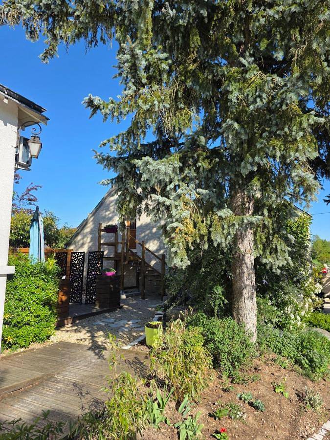 Gîte pour 2 personnes, avec piscine et jacuzzi ainsi que jardin et sauna à Sainte-Maure-de-Touraine - 2