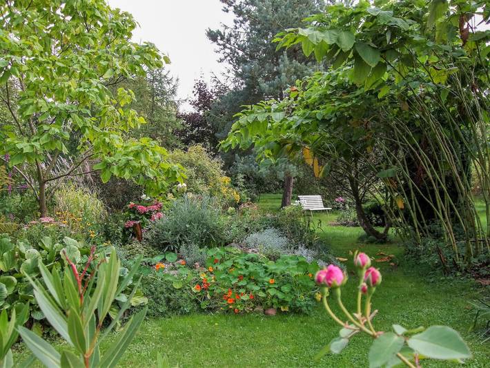 Ferienwohnung für 3 Personen, mit Garten in Gützkow - 4