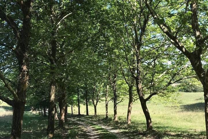 Maison de vacances pour 12 personnes, avec jardin, animaux acceptés - 1