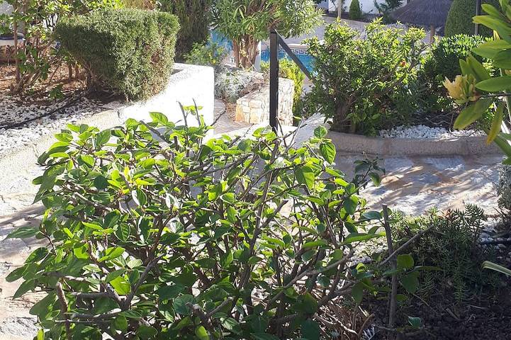 Holiday rental for 4 people, with pool and balcony in Cabo Roig