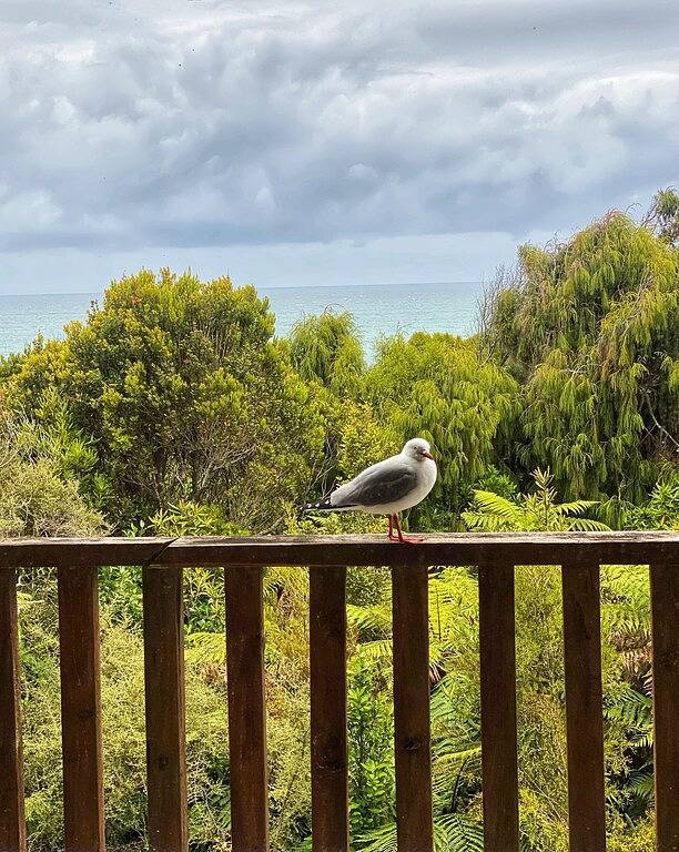 Atemberaubende Aussicht auf Parinui in West Coast (Neuseeland)