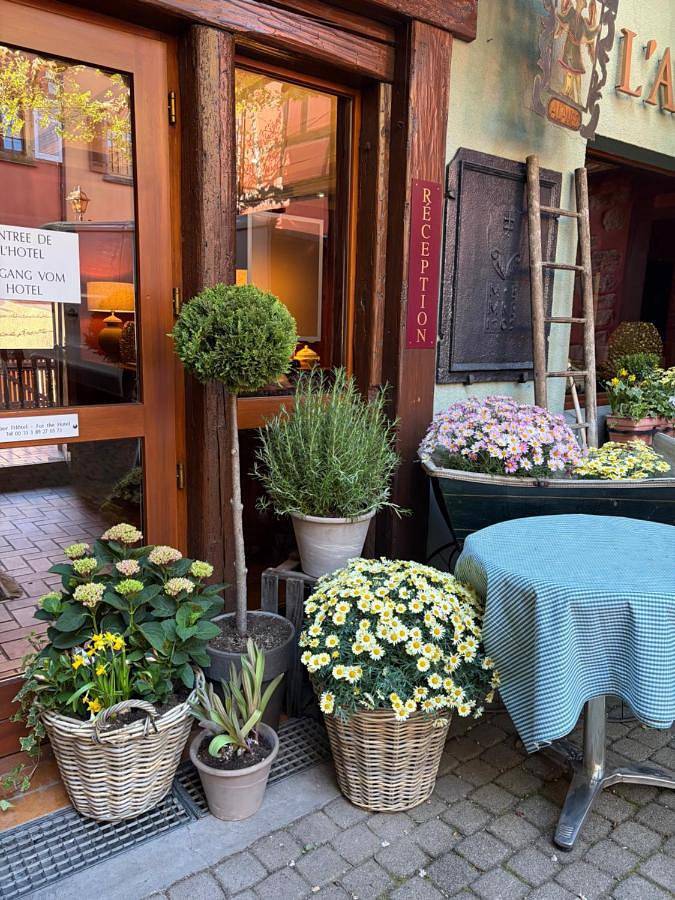 Hôtel pour 2 personnes, avec terrasse à Niedermorschwihr - 3