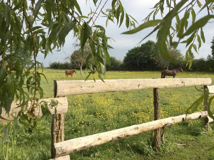 Location de vacances pour 6 personnes, avec jardin et vue à Magny-Cours - 3