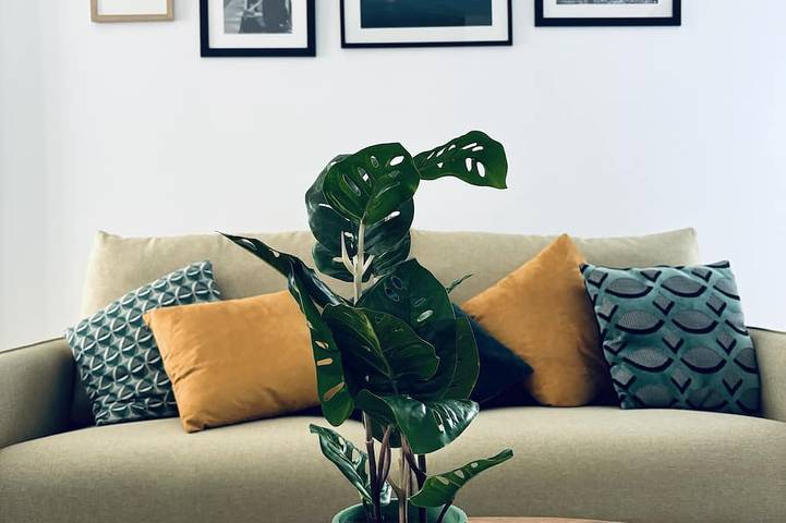 Apartamento entero, Ca' D'Amore in Treviso, Provincia de Treviso