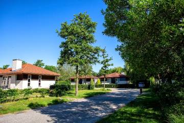 Ferienhaus für 4 Personen in Nationalpark De Maasduinen, Limburg (Niederlande), Bild 4