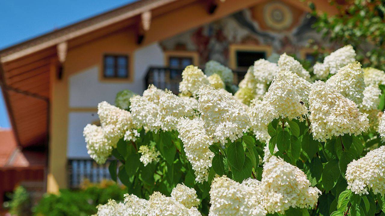 Entire vacation apartment, Ferienwohnung für 2 Personen (70 m²) in Gstadt am Chiemsee in Gstadt am Chiemsee, Chiemsee