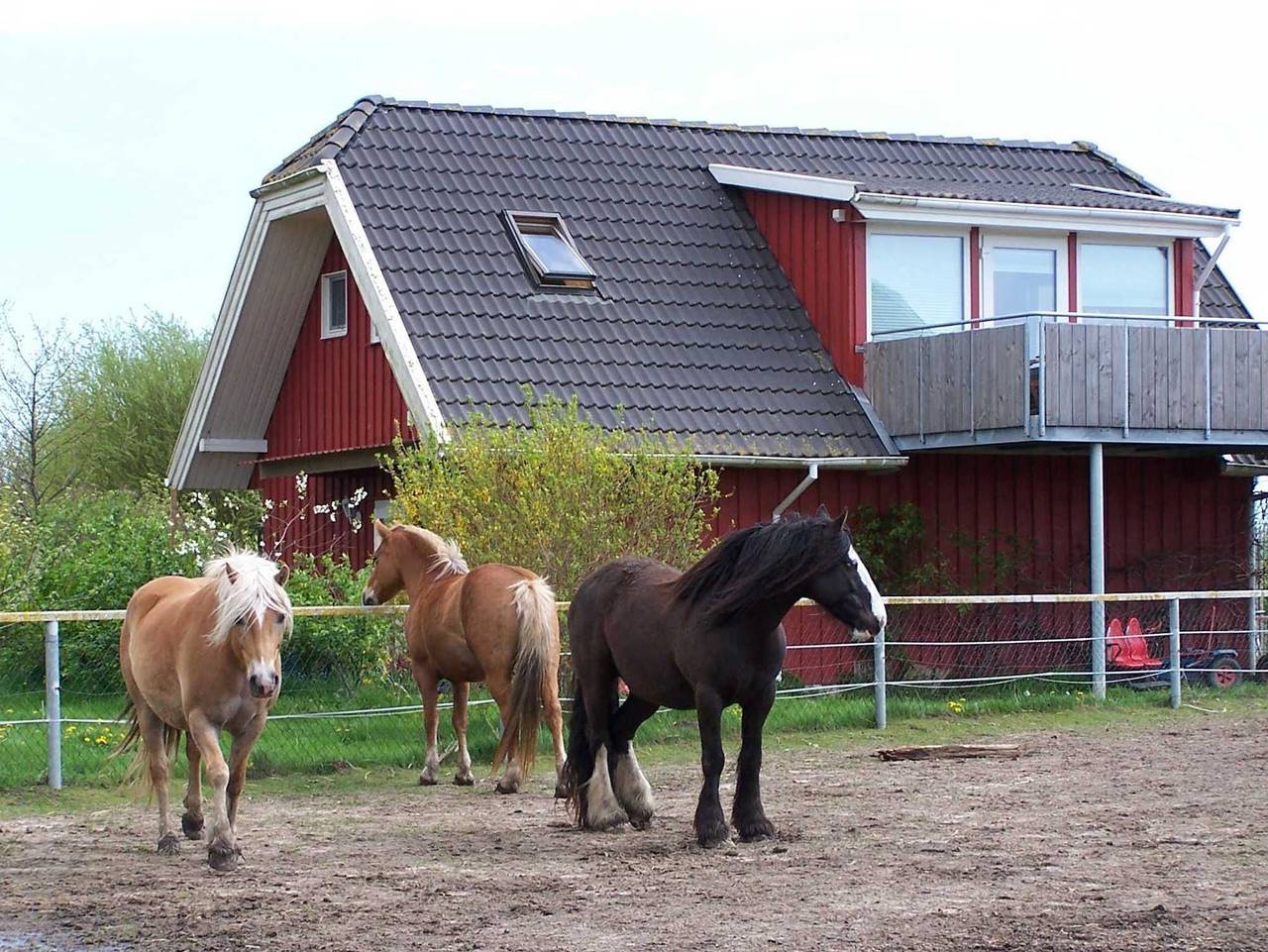 Ferienwohnung auf dem Bauernhof - Ferienwohnung in Kenz-Küstrow, Vorpommern