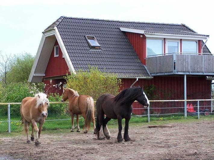 Ferienhaus für 5 Personen, mit Terrasse und Garten in Kenz-Küstrow