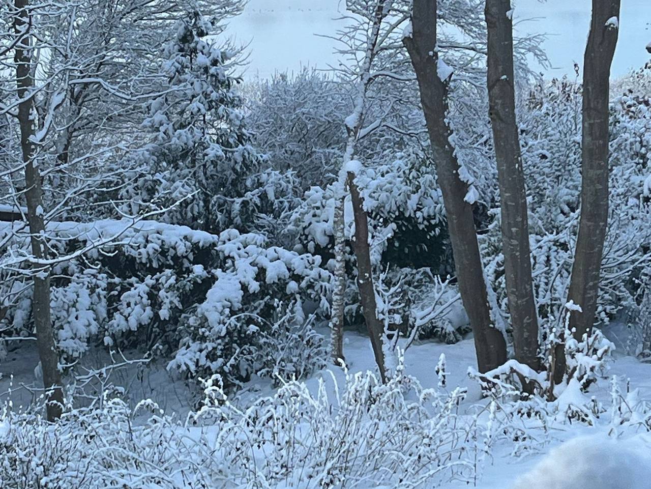 Ganze Ferienwohnung, Ferienwohnung Schwansen in Kappeln- Kopperby - Ferienwohnung Schwansen in Kappeln- Kopperby in Kopperby, Kappeln