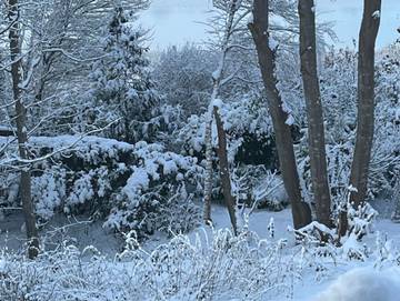 Ferienwohnung für 5 Personen in Kopperby, Kappeln, Bild 1