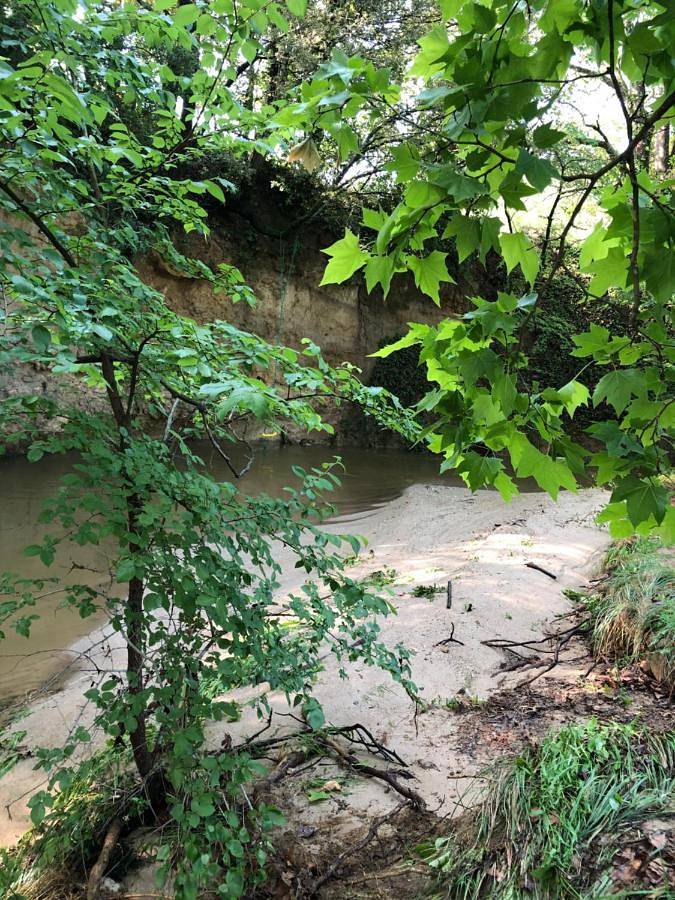 Location de vacances pour 2 personnes, avec piscine ainsi que jardin et vue, animaux acceptés à Barjols - 3