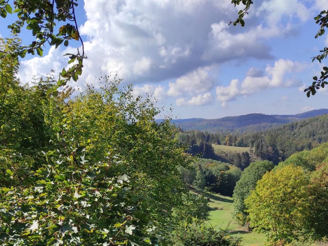 Ganze Ferienwohnung, Fewo Harzer Weitblick Bis 2 Hunde willkommen, W-Lan, 2x Smar - Fewo,  Hunde erwünscht, 1 Schlafzimmer, Herrlicher Ausblick in Hohegeiß, Harzvorland