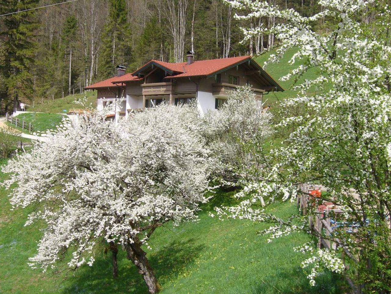 Ganze Ferienwohnung, Haus Eicher - Ferienwohnung Ristfeuchthorn in Schneizlreuth, Bayerische Alpen
