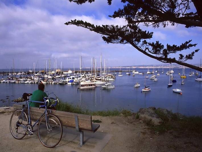 Location de vacances pour 6 personnes, avec jardin et terrasse à Monterey - 3