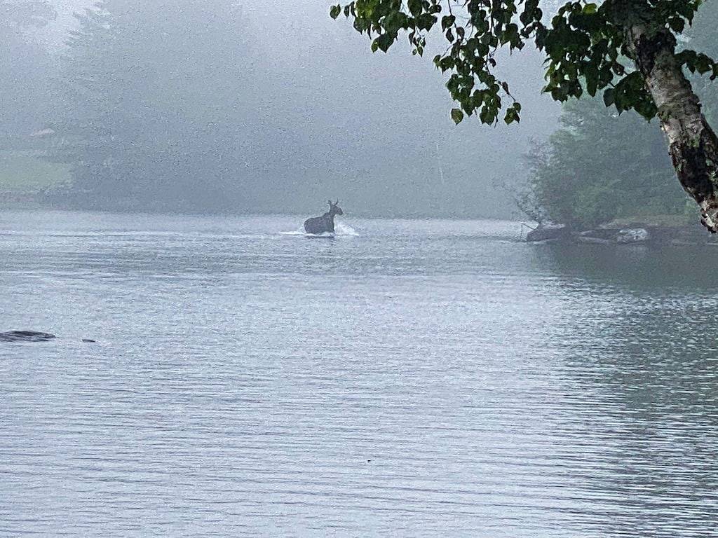 Lakeside cottage, close to town, large lot, 300+ft of Moosehead Lake frontage in Greenville (ME), Moosehead Lake