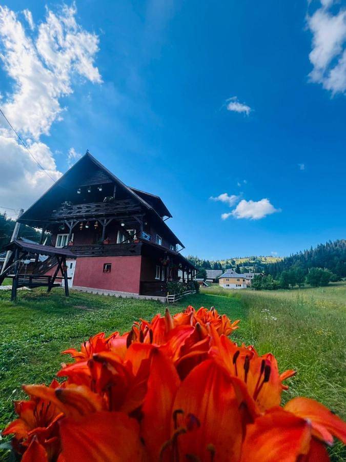 BnB für 2 Personen, mit Balkon und Terrasse sowie Garten und Ausblick in Alba (Romania)