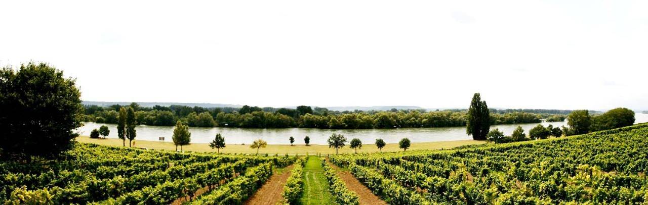 Double Room in Hattenheim, Eltville am Rhein