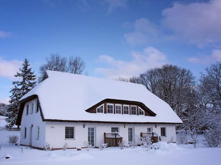 Kiekenbusch Top Middle in Groß Zicker, Mönchgut