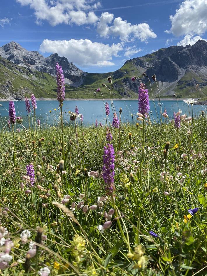 Bauernhaus für 4 Personen, mit Pool und Garten in Vorarlberg - 2
