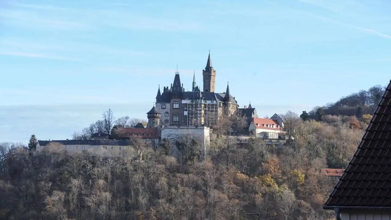 Ganze Ferienwohnung, Ferienwohnung für 2 Personen (32 m²) in Wernigerode in Wernigerode, Harzvorland