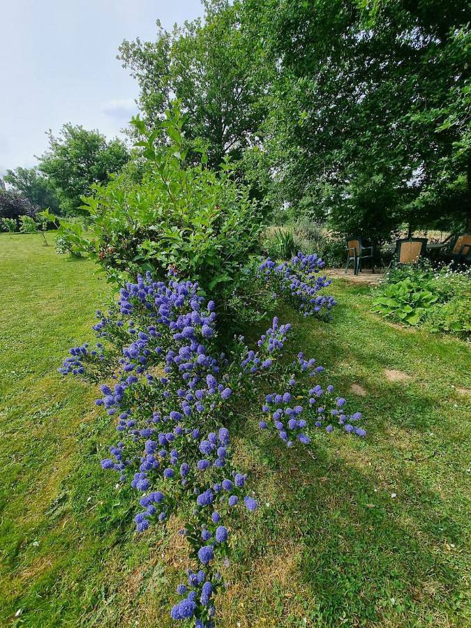 Parfums des peintres proche Crozant - Chambres d'hôtes in Région de Guéret