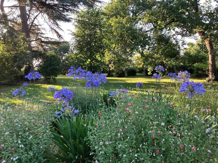 Location de vacances pour 15 personnes, avec jardin et piscine à Villematier - 3