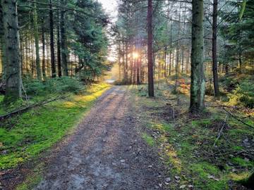 Chalet für 12 Personen in Rødhus, Nordjütland, Bild 3