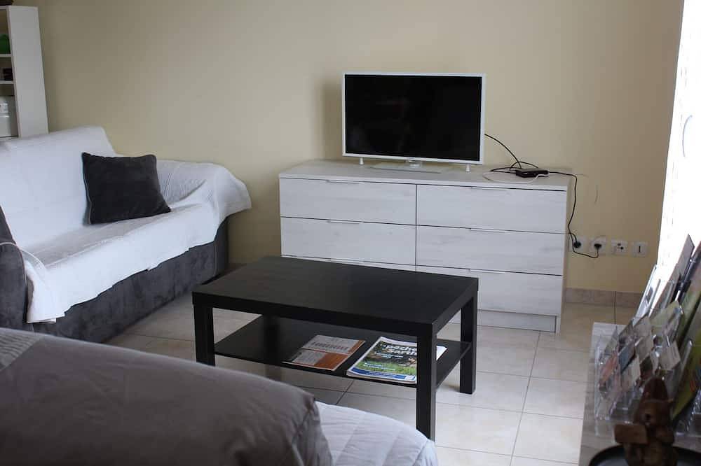 Gite le Lizard 4/6 Personnes Maison Individuelle Avec Jardin in Château-du-Loir, Valle del Loira