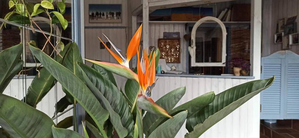 BnB für 2 Personen, mit Terrasse und Garten in Hagnau am Bodensee