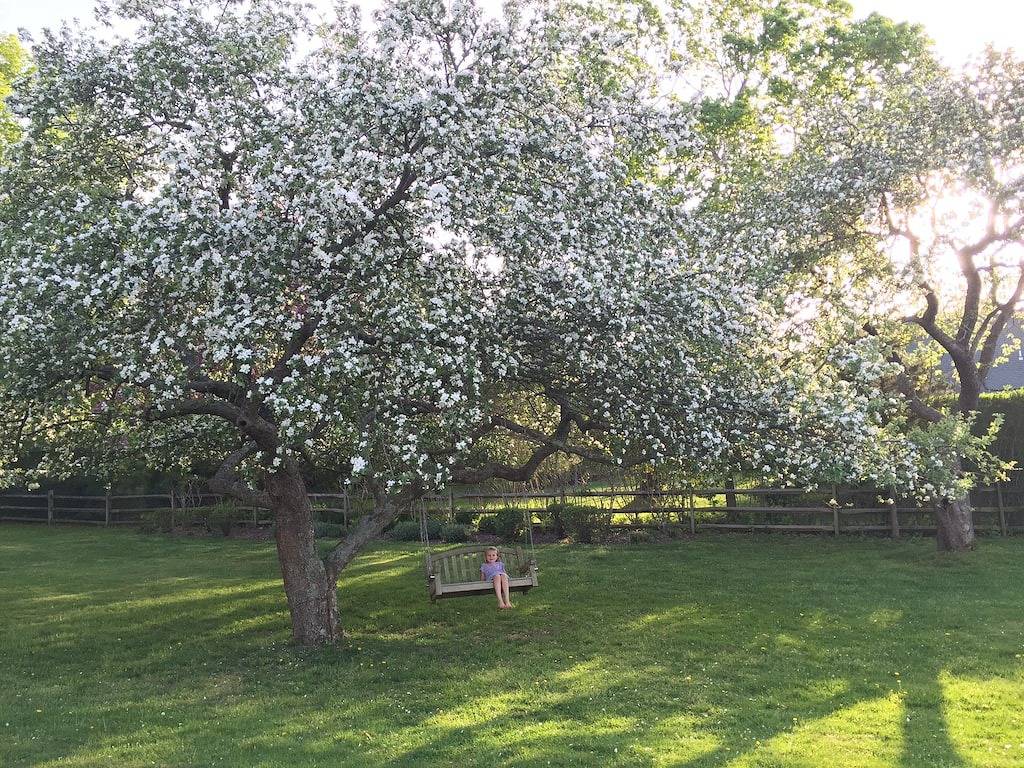 Atemberaubende Haus am Wasser mit Pool, Bootsanleger und Hektar Land in Noyack, Hamptons