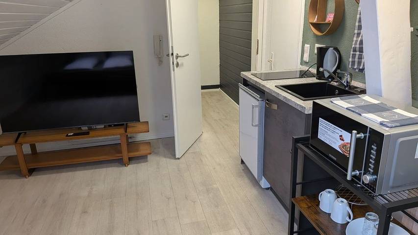 Ferienwohnung für 3 Personen, mit Garten, mit Haustier in Villingen-Schwenningen - 4