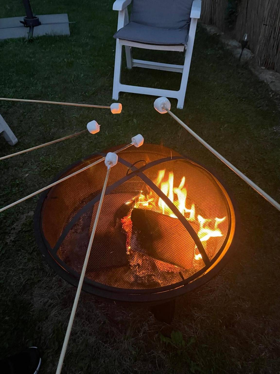 Ganze Wohnung, Apartment 'Am Bodensee- Zentrale' mit privatem Garten und Wlan in Friedrichshafen, Region Bodensee-Oberschwaben