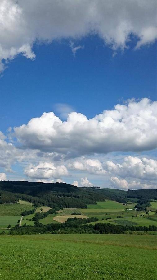 Ferienhaus für 10 Personen, mit Garten und Ausblick sowie Sauna im Sauerland - 2