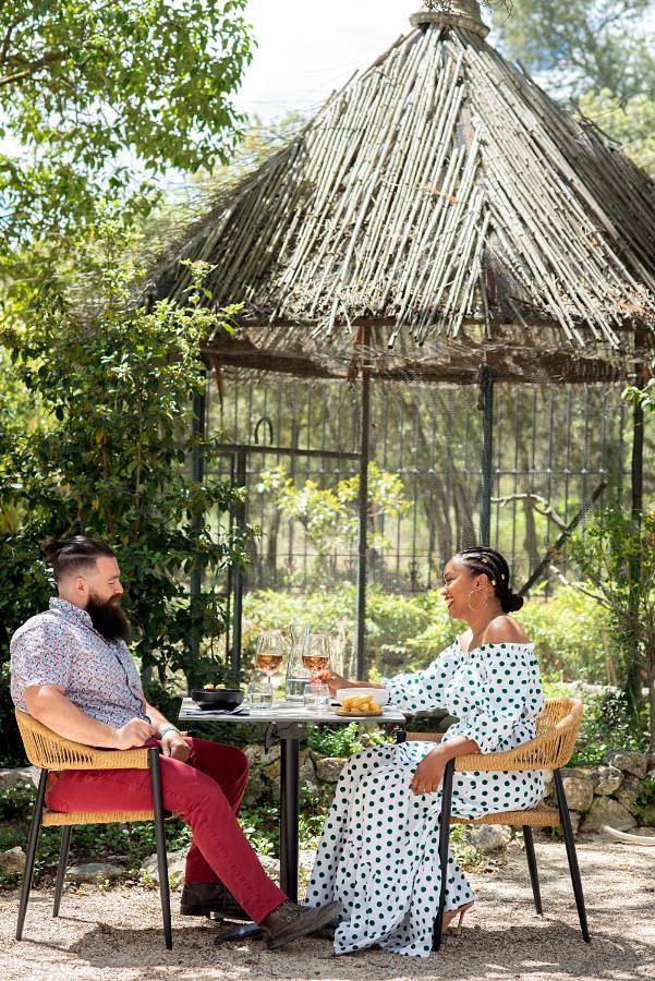 Hôtel pour 2 personnes, avec vue ainsi que jardin et piscine, animaux acceptés dans Le Pont du Gard - 4