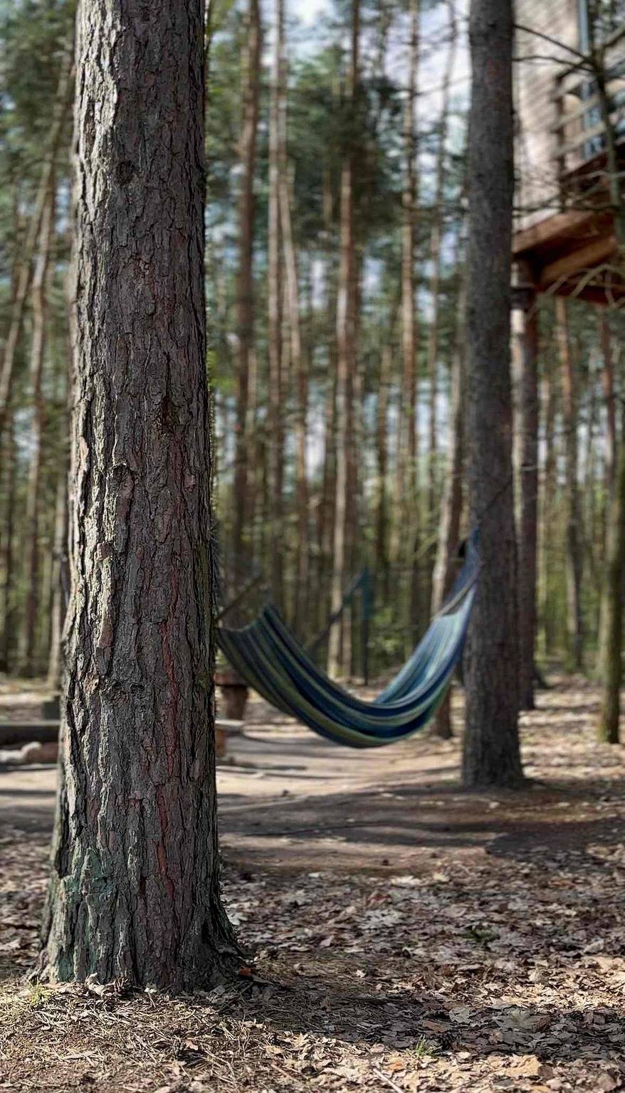Domek na Drzewie - Leśna Przystań in Región de Lublin