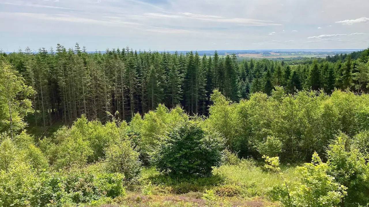 Ferienhaus für 16 Personen (232 m²) in Brovst in Jammerbugt