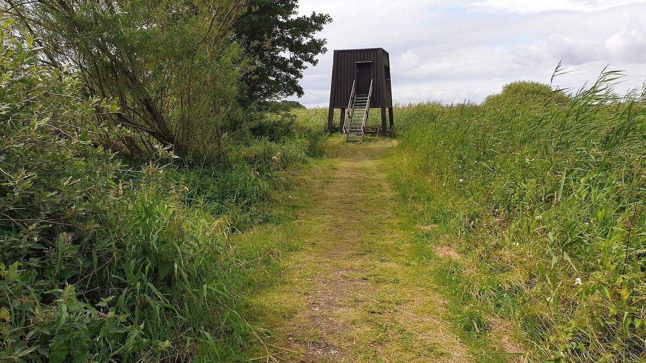 Ferienhaus für 4 Personen (50 m²) in Ebeltoft in Fuglslev, Ebeltoft