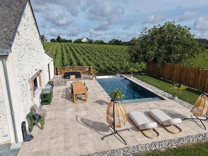 Location de vacances pour 15 personnes, avec Jacuzzi et Terrasse ainsi que Jardin et Piscine à Saint-Aubin-de-Luigné - 3