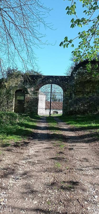 Location de vacances pour 2 personnes, avec vue ainsi que jardin et terrasse à Alette - 3